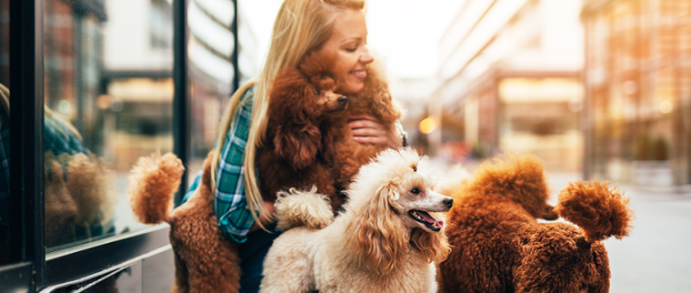 petsitter chiens